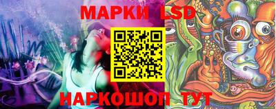 гидропоника Кулебаки